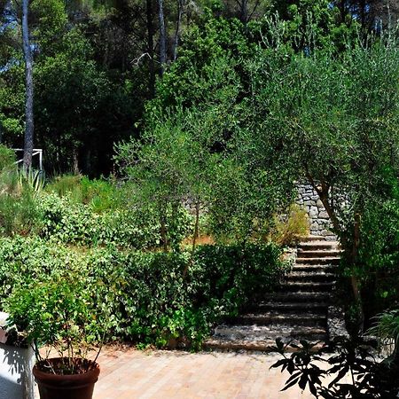 B&B Al Cavalluccio Marino Monte Marcello Luaran gambar