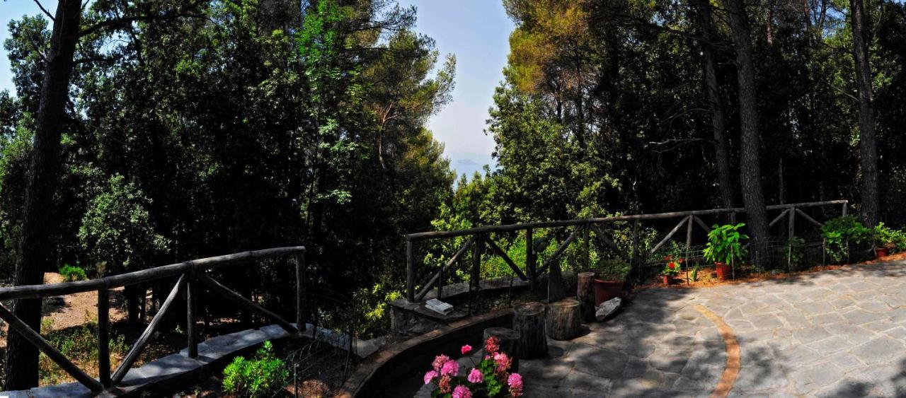 B&B Al Cavalluccio Marino Monte Marcello Luaran gambar