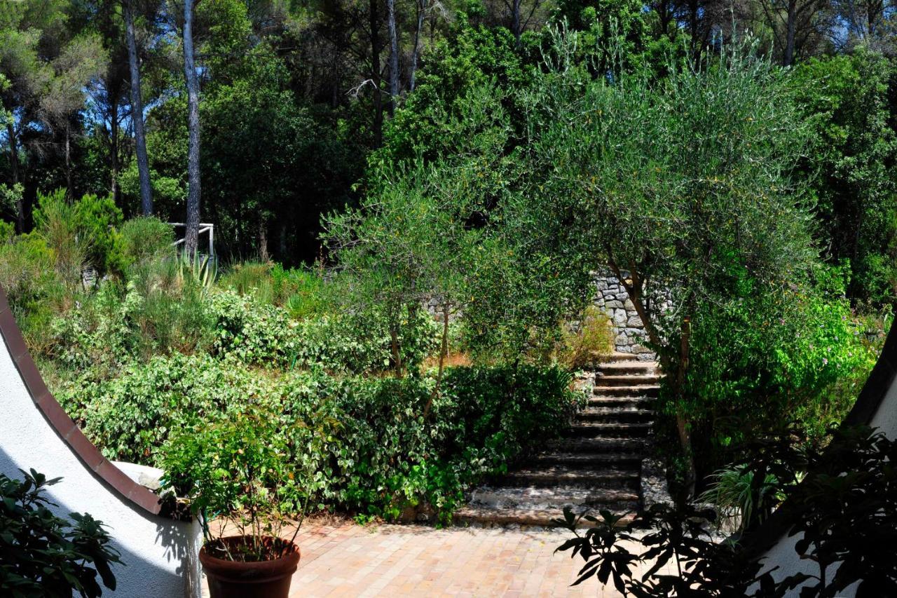 B&B Al Cavalluccio Marino Monte Marcello Luaran gambar