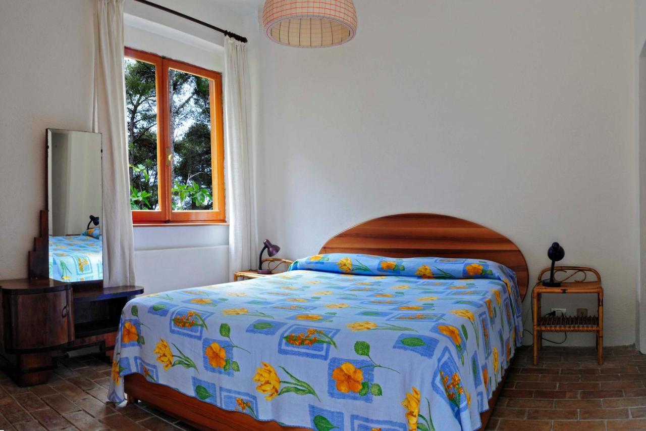 B&B Al Cavalluccio Marino Monte Marcello Luaran gambar
